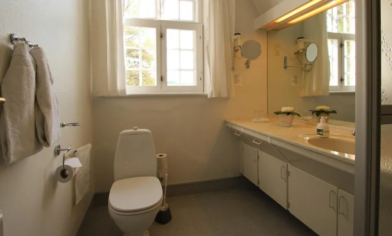 Billede 8 af Sophiendal Manor