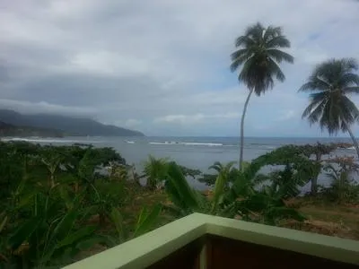 Billede 2 af The Nixon's Bay Side Mangrove Inn