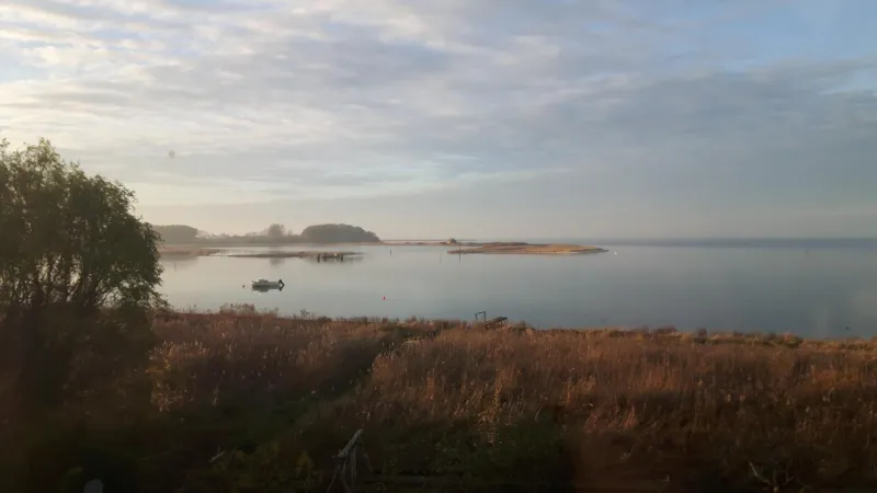 Billede 4 af Tinyhouse Thorøhuse