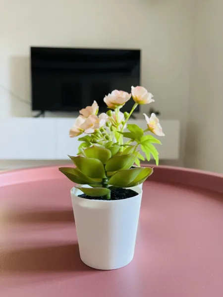 Billede 25 af aday - Central Charming Apartment with Terrace