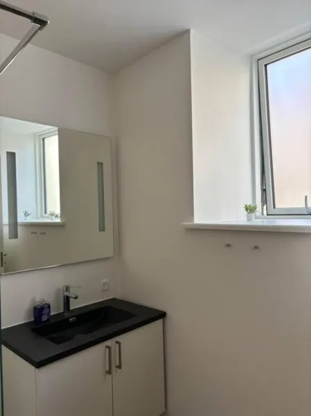 Billede 9 af Grøn Odense Central