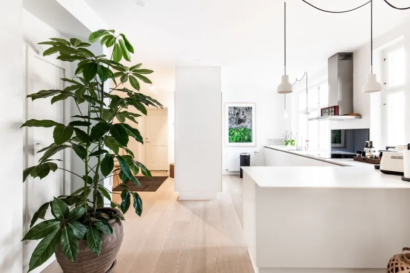 Billede 45 af Dinesen Collection Luxury Condos By Royal Danish Theatre