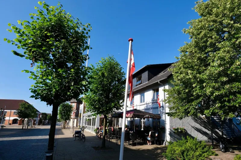 Billede 18 af Hotel Vildbjerg