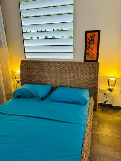 Billede 2 af Hostel Toucan Tropikana