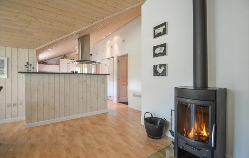 Billede 11 af Pet Friendly Home In Rømø With Kitchen