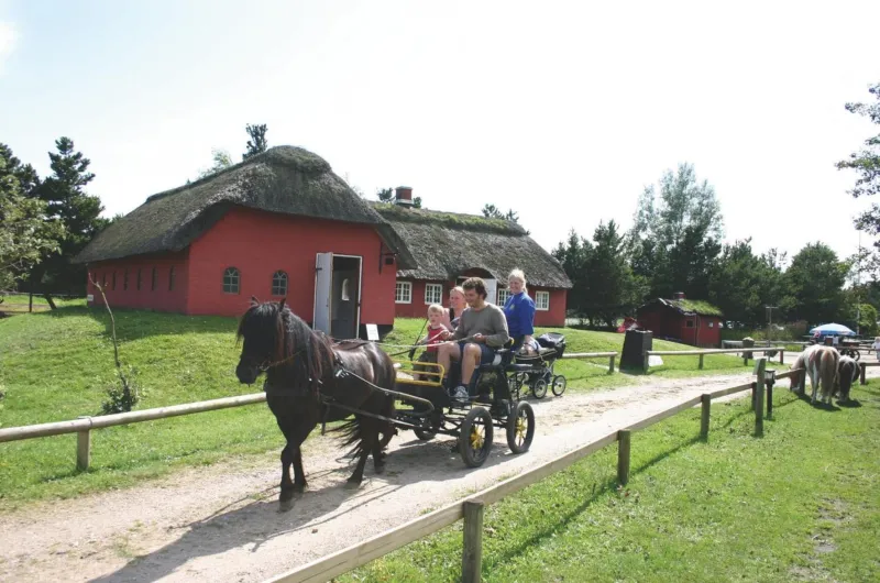 Billede 24 af Hotel Kommandørgården