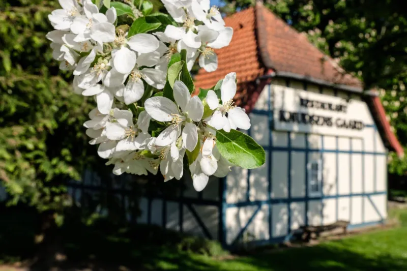 Billede 104 af Milling Hotel Knudsens Gaard