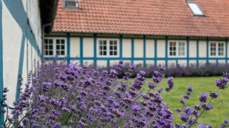 Billede 16 af Milling Hotel Knudsens Gaard