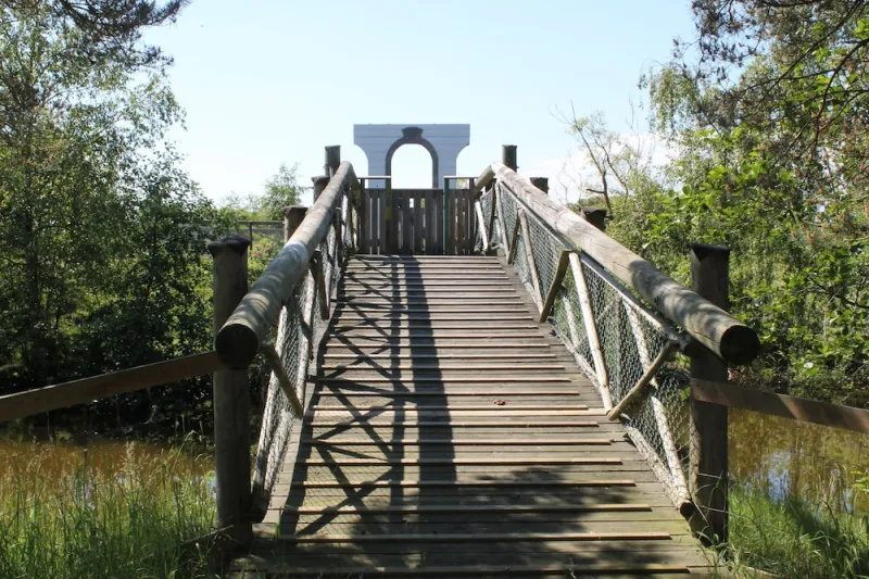 Billede 17 af Marielyst Feriepark & Camping