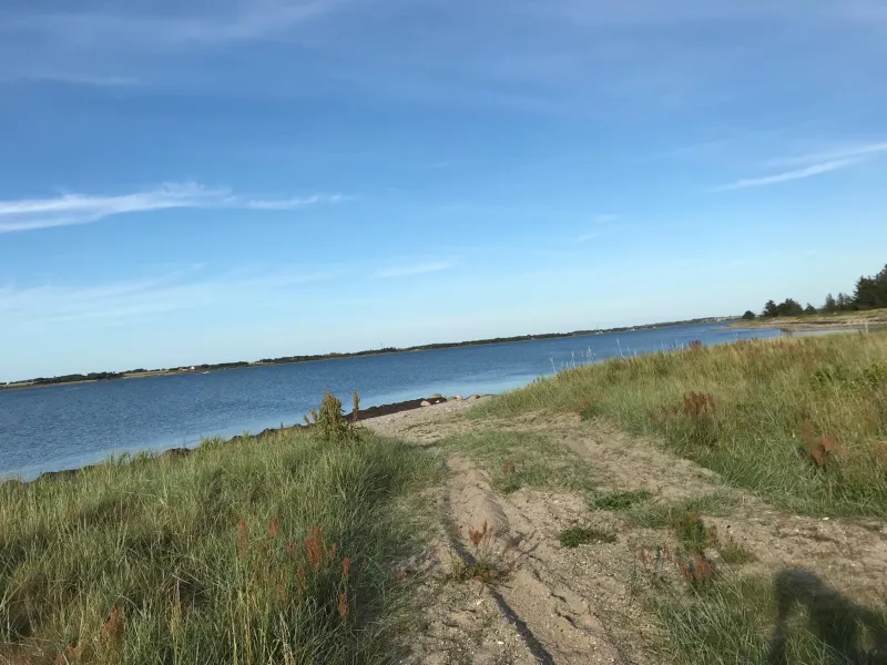 Billede 6 af Summer cottage