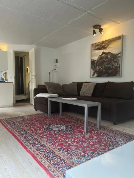 Billede 22 af AppleFlower Farm retro apartment no 3