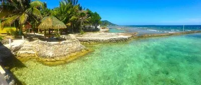 Billede 2 af Reef House Resort