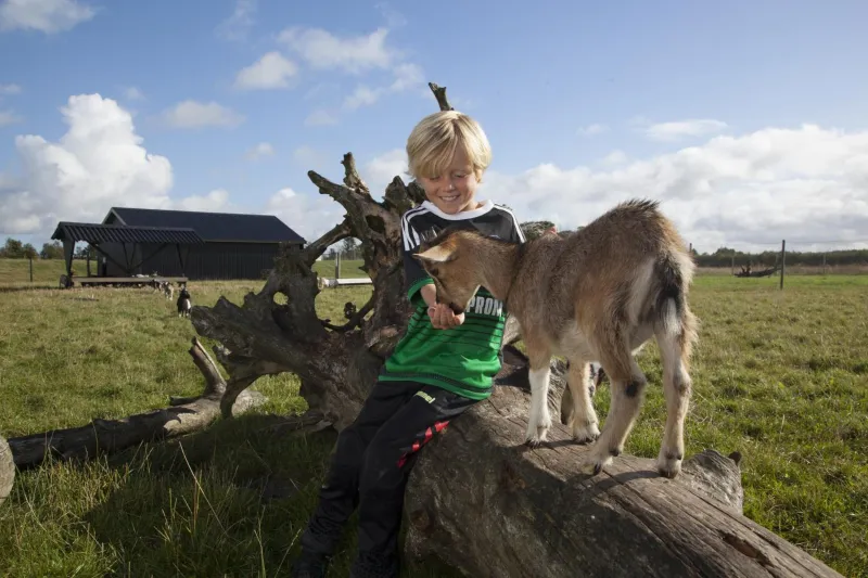 Billede 19 af Lalandia Billund