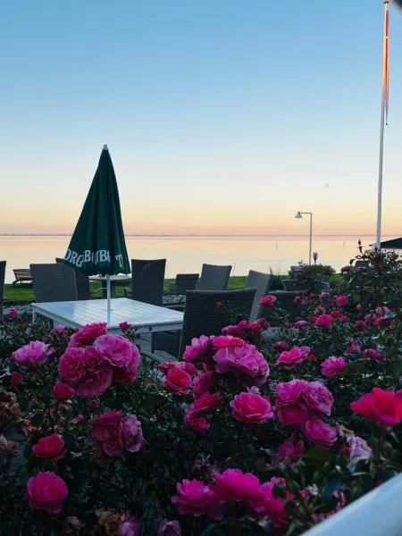 Billede 10 af Hotel Udsigten Marstal