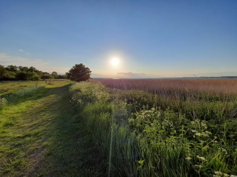Billede 35 af The comfort of this cottage merges with nature