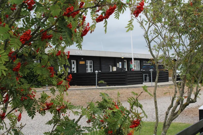 Billede 2 af Toftum Bjerge Camping & Cottages