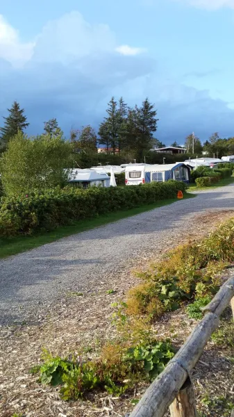 Billede 43 af Toftum Bjerge Camping & Cottages