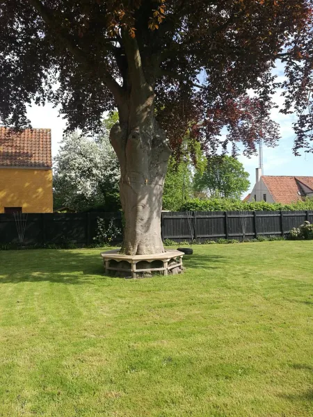 Billede 2 af Kjobing Manor