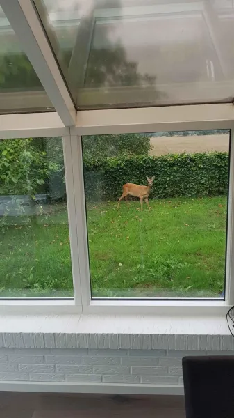 Billede 2 af Townhouse With Nature As Neighbor