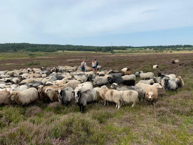 Billede 3 af Ingridsboplads