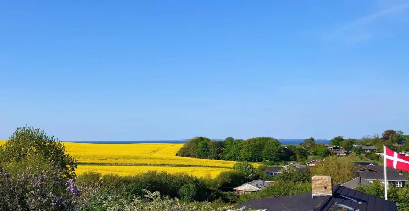 Billede 8 af Cottage With A View