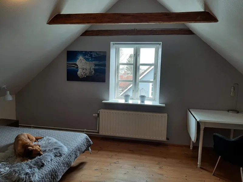 Billede 8 af Stor villa i Lendemarke