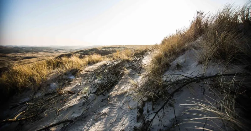 Billede 23 af Hvide Sande Beach Apartments