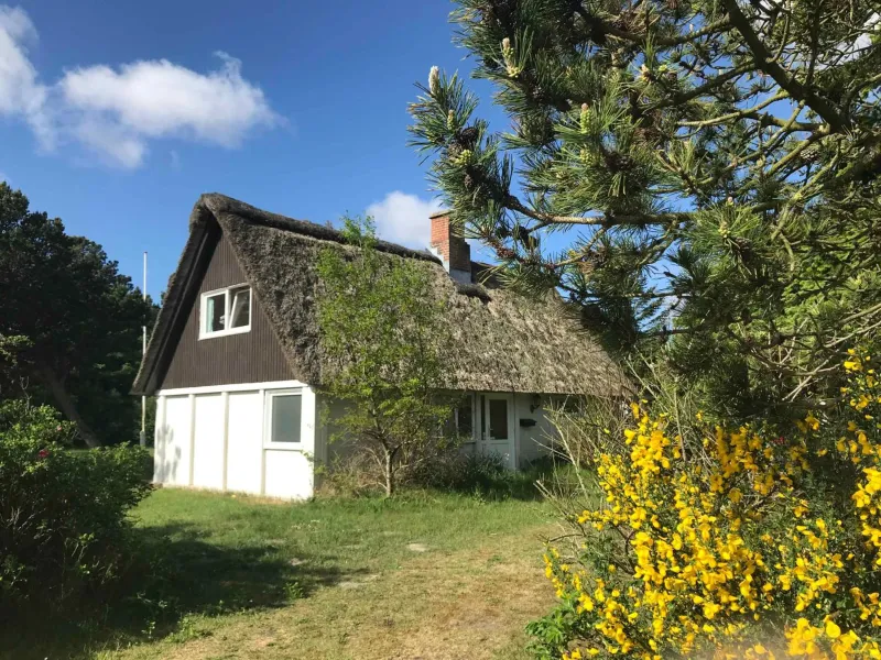 Billede 8 af Lovely Summer House On The Island Of Rømø