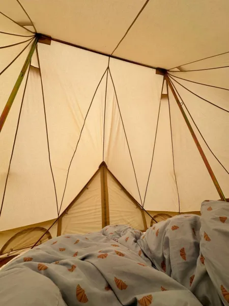 Billede 2 af Glamping tent at møn
