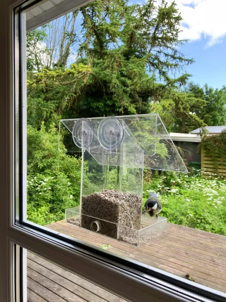 Billede 21 af Nature-Rich Summer House With Wild Garden