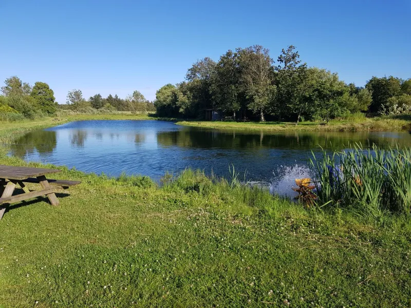 Billede 9 af Himmerlands Fiskepark & Camping