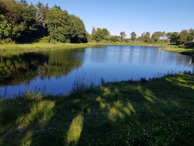 Billede 10 af Himmerlands Fiskepark & Camping