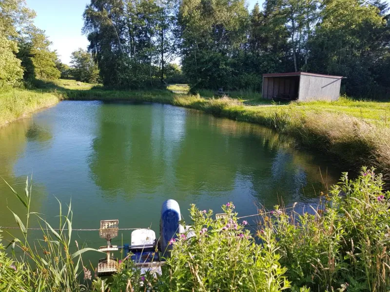 Billede 11 af Himmerlands Fiskepark & Camping