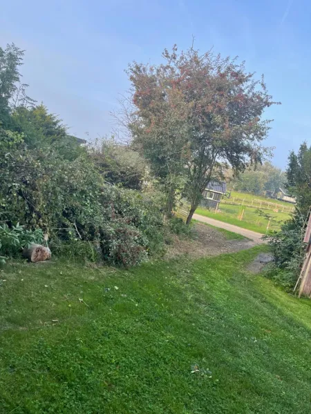 Billede 6 af Norsk bjælkehytte med fibernet