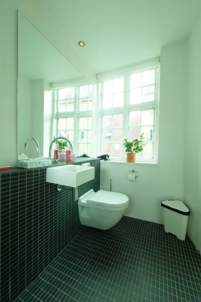 Billede 3 af Central Canal Apartments 5