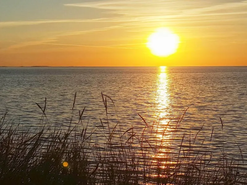 Billede 8 af 4 Person Holiday Home in Slagelse