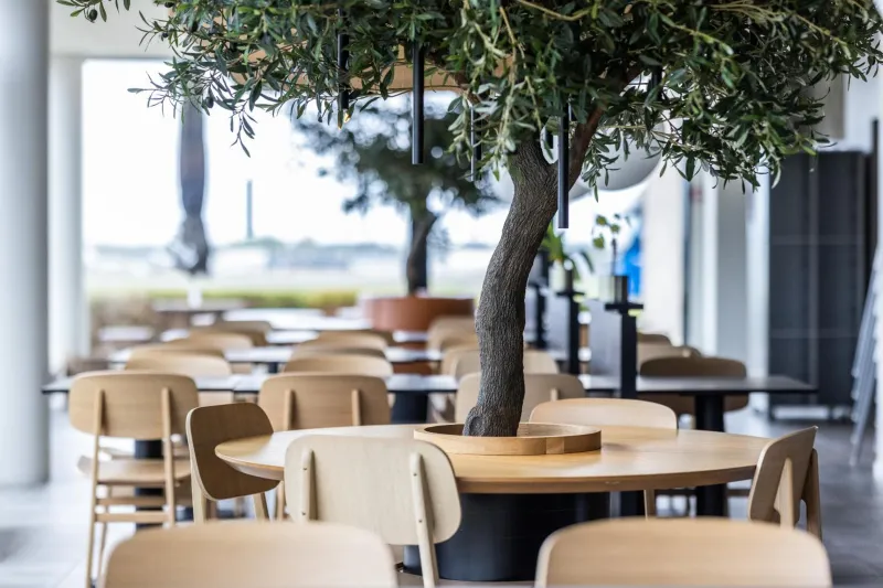 Billede 69 af Airport Hotel, Billund