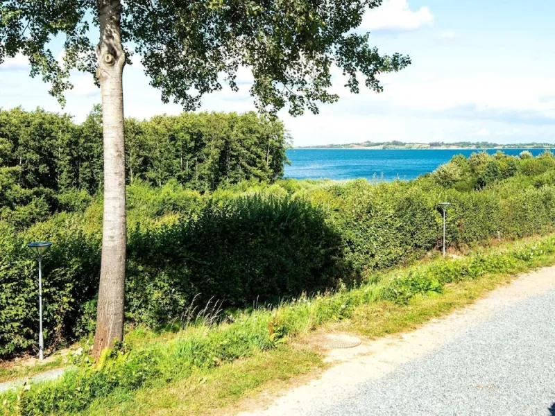 Billede 21 af 4 Person Holiday Home in Aabenraa