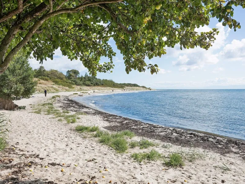 Holiday Home With Sauna by Beach photo 13