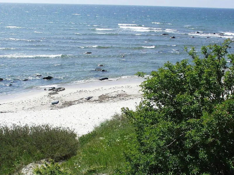 Holiday Home With Sauna by Beach photo 15