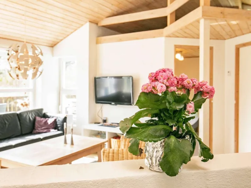 Billede 8 af 10 Person Holiday Home in Hjorring