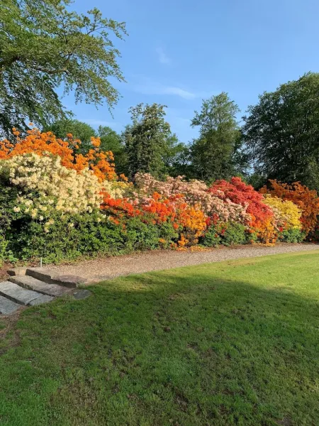 Billede 12 af Parkhuset