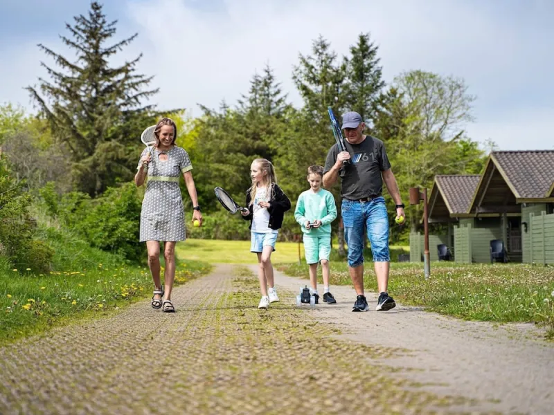 Billede 3 af Vegso Holiday Park: Premium Type10 Retreat