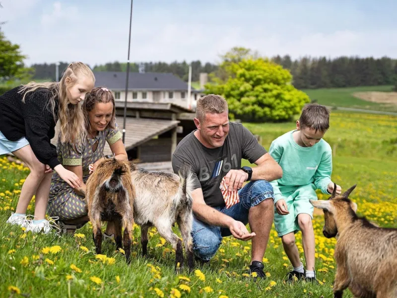 Billede 17 af Vegso Holiday Park: Premium Type10 Retreat