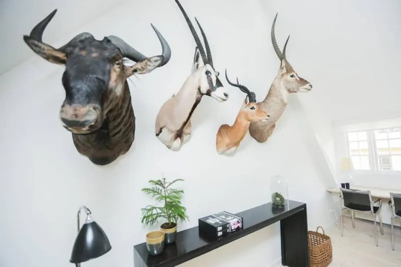 Billede 2 af Exclusive and central - Private roof top terrace!