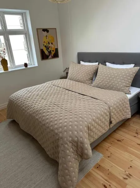 Spacious Nørrebro Stay for Groups & Families photo 6