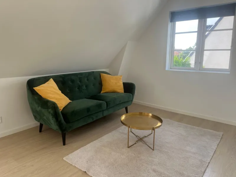 Charming Apartment with Lake View, Tennis Court- 5 Minutes from Odense Center photo 2