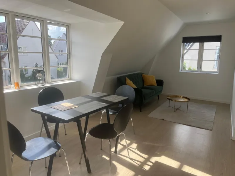 Charming Apartment with Lake View, Tennis Court- 5 Minutes from Odense Center photo 4