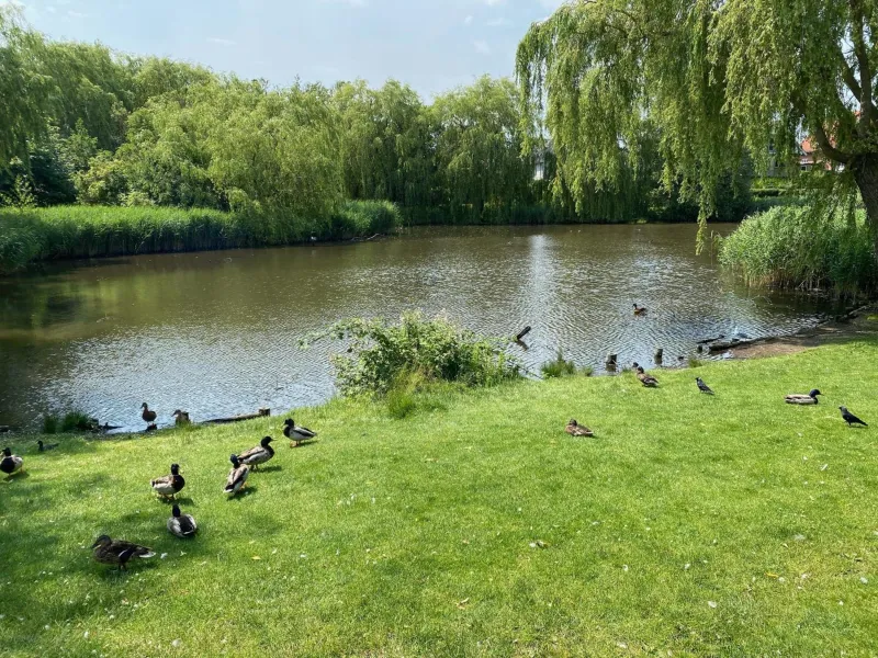 Charming Apartment with Lake View, Tennis Court- 5 Minutes from Odense Center photo 16