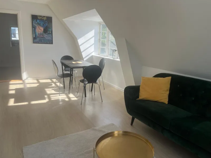 Charming Apartment with Lake View, Tennis Court- 5 Minutes from Odense Center photo 18